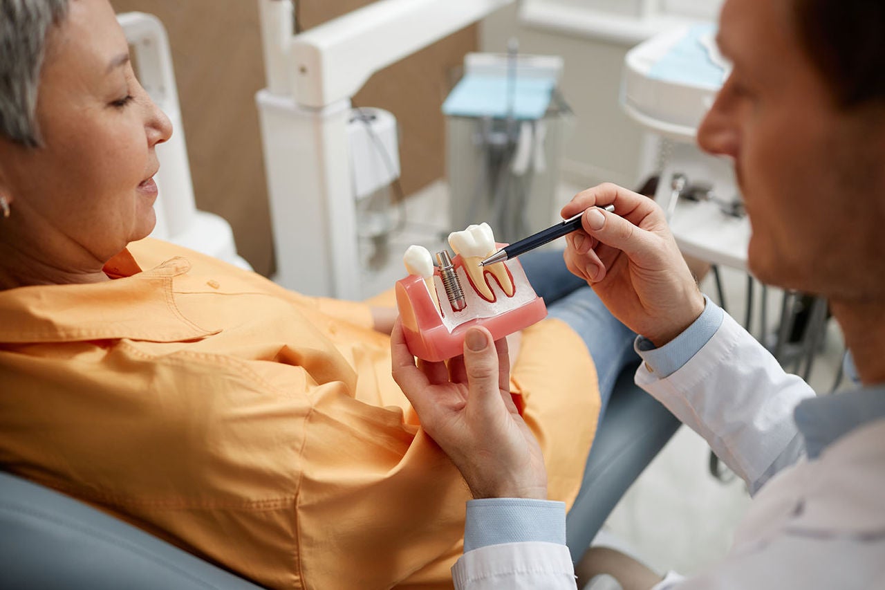 closeup male dentist holding tooth model